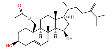 Nebrosteroid Q